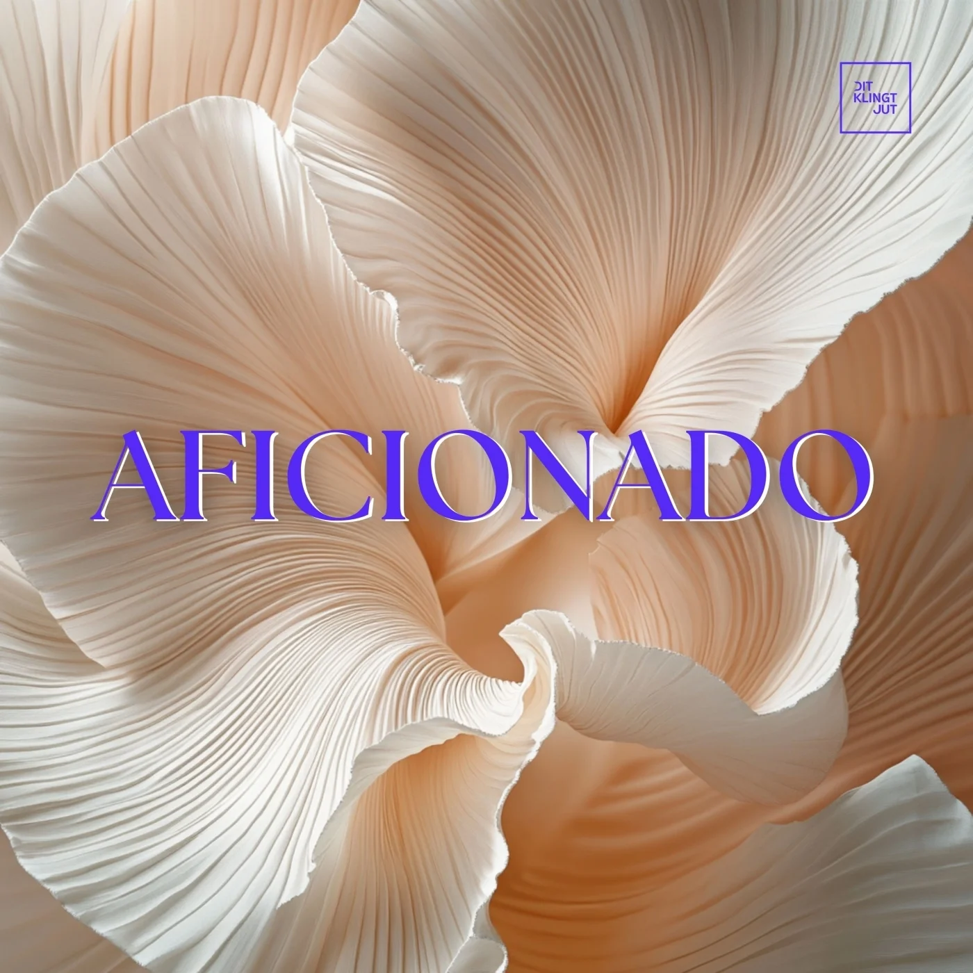 DKJ034 | Aficionado